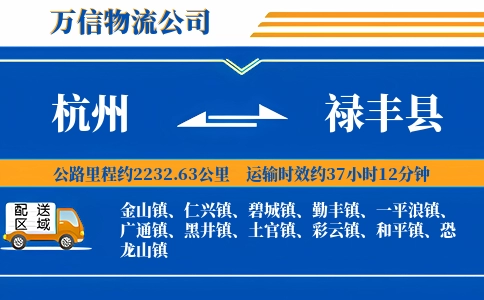 杭州到禄丰县物流公司