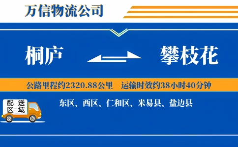 桐庐到攀枝花物流公司